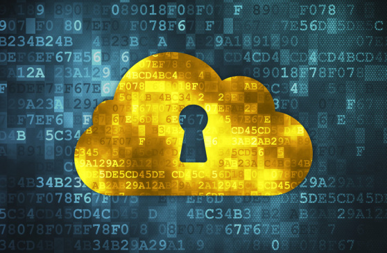 Security Concerns of Private and Public Cloud